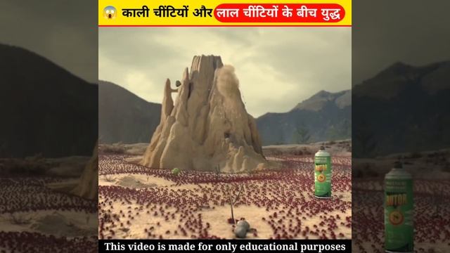 😱 war between red ants and black ants || Achieve of goal #shortsvideo #ytshorts #shorts смотреть онлайн