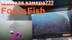 FocusFish 7 подводная камера 2024-25