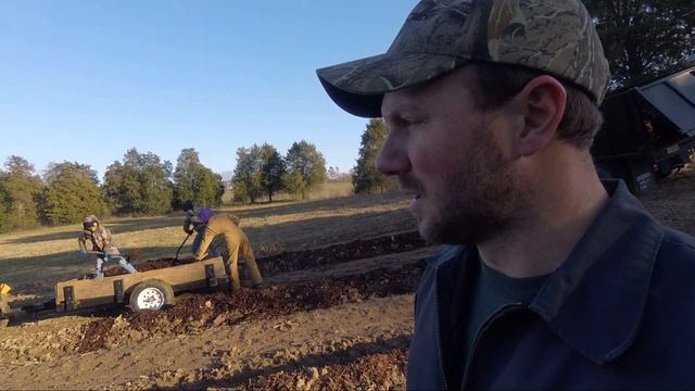 Planting our First Commercial Blueberry Bushes смотреть онлайн
