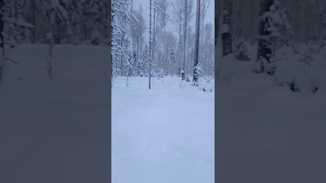 встреча с ручным зверьком, офигеть!!!! смотреть онлайн