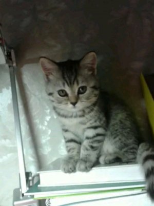 2 часть "доброе утро" садимся завтракать