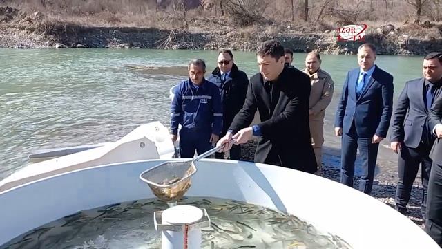 В реку Хакари выпущены мальки смотреть онлайн