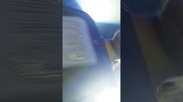 заставила всех сказать 