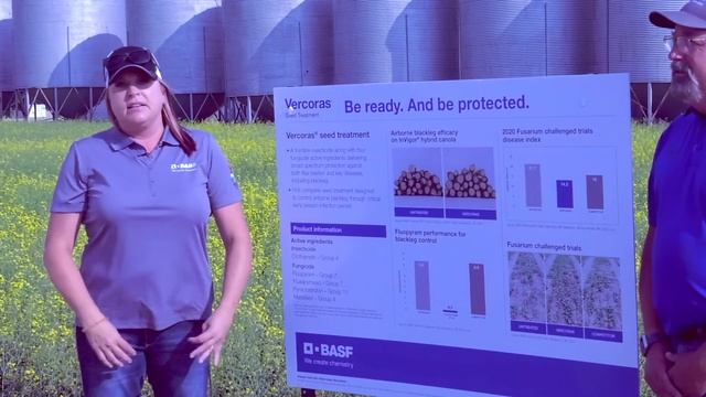 Protect Your Canola from Black Leg and more with Vercoras Seed Treatment смотреть онлайн