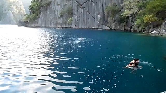 Coron Palawan - Barracuda Lake смотреть онлайн