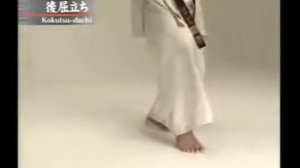 Все стойки в киокушинкай каратэ