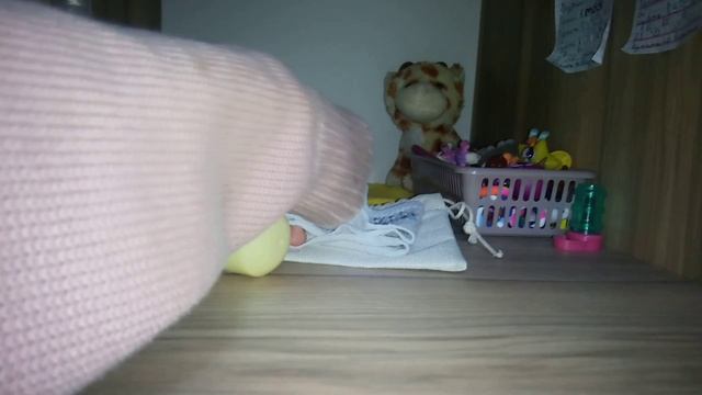 Новости сквиш собак|Что нужно для сквиш собак в поездку?🐕🐾 смотреть онлайн