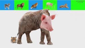 Играем и Учим Животных! Пазлы-Мультик для Малышей