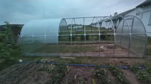 Теплица С Краб Системой - Завода МЗТ,  Теплица 6х3 м Минского завода теплиц с соединением краб