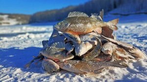 ОФИГЕЛ КОГДА ДОСТАЛ НОЧЬЮ ТАКОГО БАЛВАНА! зимняя рыбалка с ночевкой