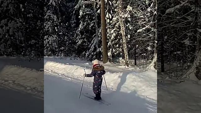 Лыжи в Пушкинском лесу смотреть онлайн