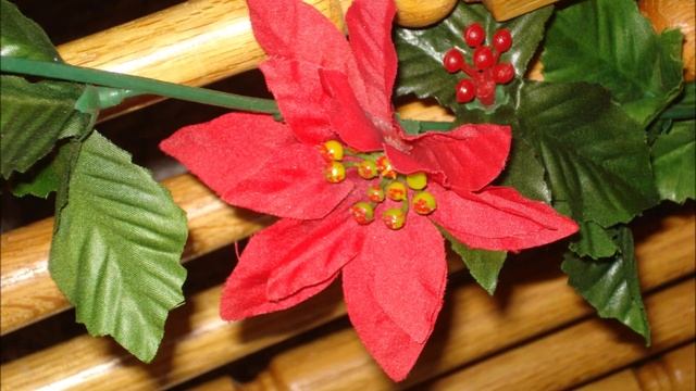 Новый год. Семейный дуэт. (Николай Жуков)