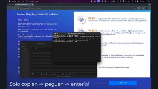 Entrar al Módulo de Firma Digital de la CCSS смотреть онлайн