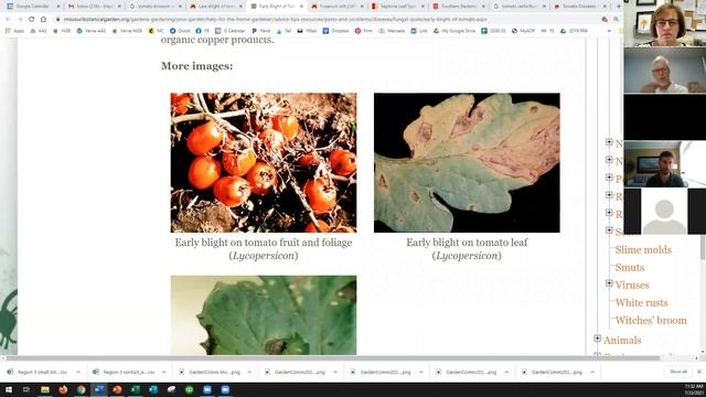 Ask the Experts about Tomatoes - Types, Diseases & More смотреть онлайн
