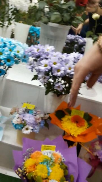Эдельвейс в Братске смотреть онлайн