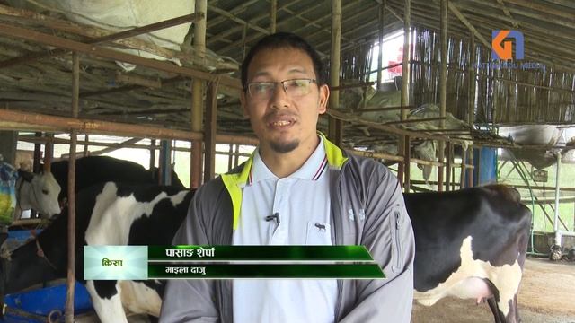 ANGPHURBA SHERPA AND HIS SALAKA KRISHI FARM смотреть онлайн