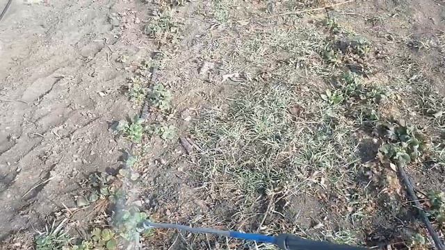 гирбицыд избирательного действия Фузилат Форте смотреть онлайн