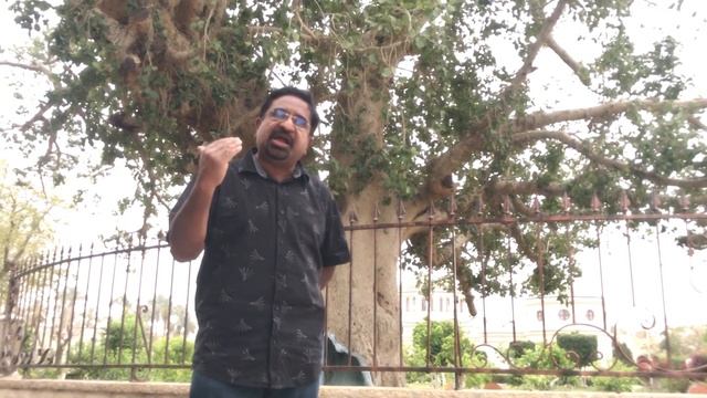 Zacchaeus යෙරිකෝවේ සාකෙව්ස් සහ අත්තික්කා ගස (Sinhala sermon) смотреть онлайн