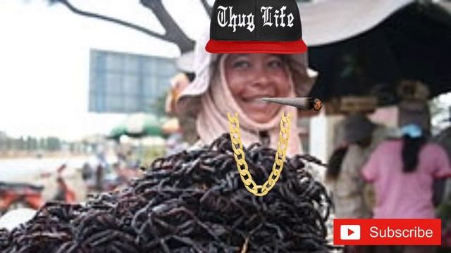 சிலந்திகள் பற்றி யாருக்கும் தெரியாத உண்மைகள்|spider thug life|Interesting facts about spiders video смотреть онлайн