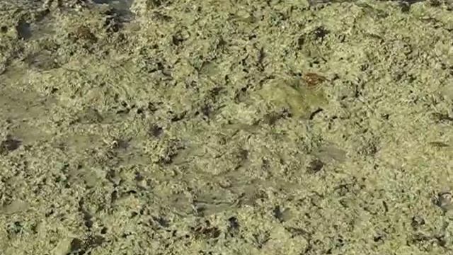 MVI 4594 смотреть онлайн