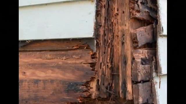 #1 Reliable Contractor Los Angeles Wood Repair call Shafran 310-295-1960 смотреть онлайн