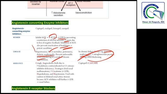 Angiotensin converting Enzyme inhibitors || Angiotensin II receptor blockers || Renin inhibitor смотреть онлайн