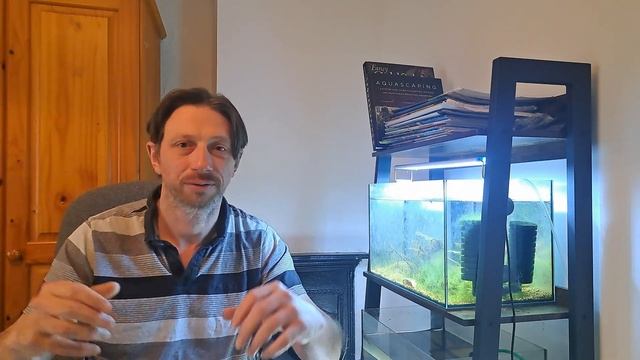 The WALSTAD Revolution Packs More Punch than Father Fish’s Soil Mix! #aquarium #walstad #fishroom смотреть онлайн