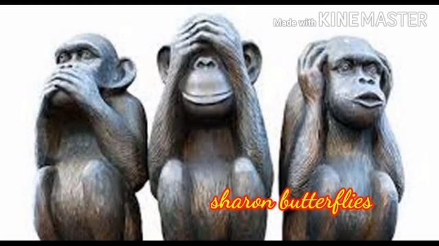 A story of three monkeys смотреть онлайн