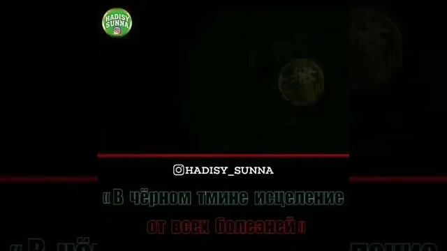 Чёрный тмин олумдон башкасынын баарына шыпаа берет! смотреть онлайн