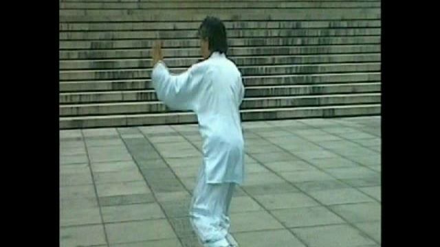 Shen Shi Tai Ji - LHF 2010 Beijing.swf