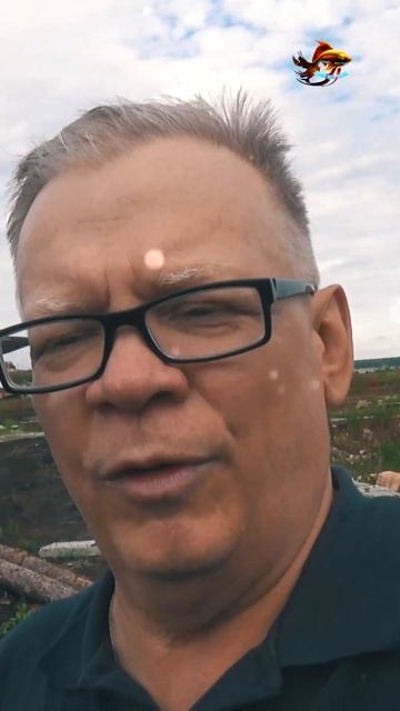 Что такое Товарный и Крупный линь Зарыбляем водоём для рыбалки #shorts смотреть онлайн