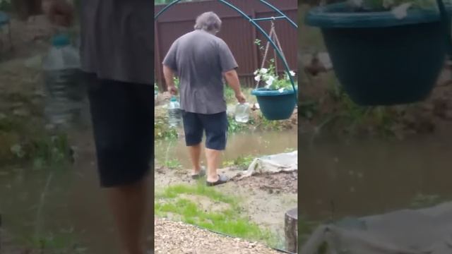 Зарыбление пруда смотреть онлайн