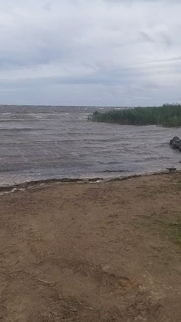 природа смотреть онлайн