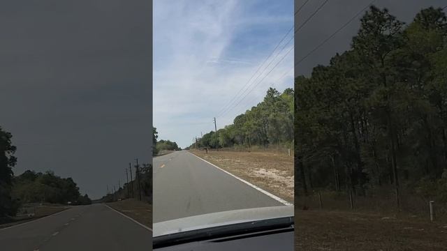 Путешествуем вместе. Флорида. Citrus, Hernando county. смотреть онлайн