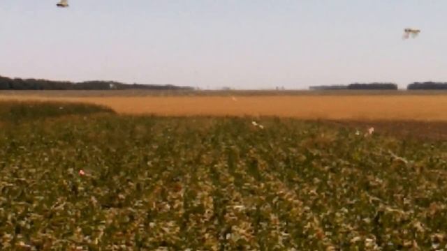 Саранча Новоалександровск 2015. смотреть онлайн