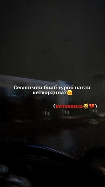 😑 #uzbek #uzbekistan #rekachiq #rek #cat #reaction #sevgi #top #reels #shoxrux смотреть онлайн