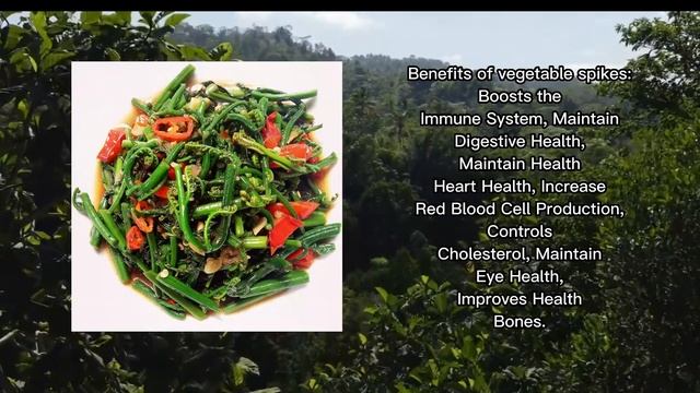 Paku Sayur/Bajei (Diplazium esculentum) смотреть онлайн