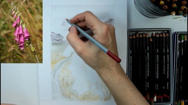 Derwent Tinted Charcoal Pencils And Coloured Pencils, How To Draw A Foxglove.