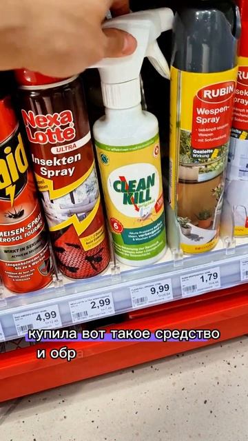 Моль. Как бороться с молью смотреть онлайн