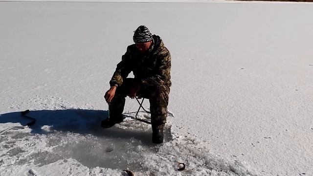 Гонимся за окунем смотреть онлайн