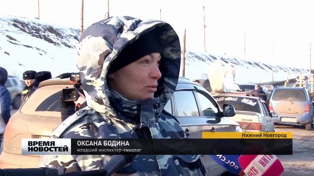 четвероногие помощники смотреть онлайн