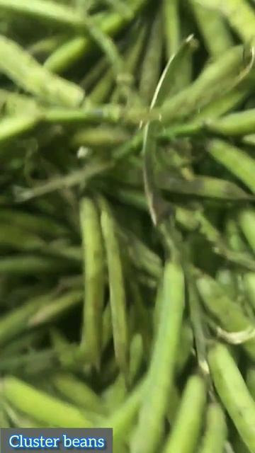 Cluster beans for diabeteas and heart health. смотреть онлайн