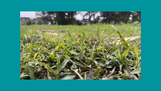 Iphone 12 Pro MAX |Full Tamil review | Camera & Performance смотреть онлайн