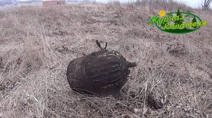 ТАКОГО НАЧАЛА МЕТАЛЛОКОПА Я НЕ ОЖИДАЛ! Коп металлолома