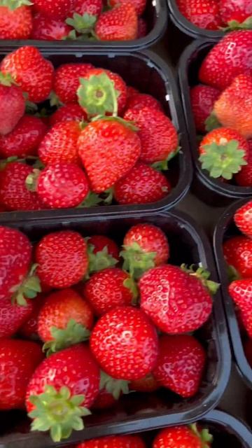 Фрукты овощи Ленинградский рынок#amazing#frutis#shorts#Черешня#Ананас#Клубника#Папайя#Персик#Малина смотреть онлайн