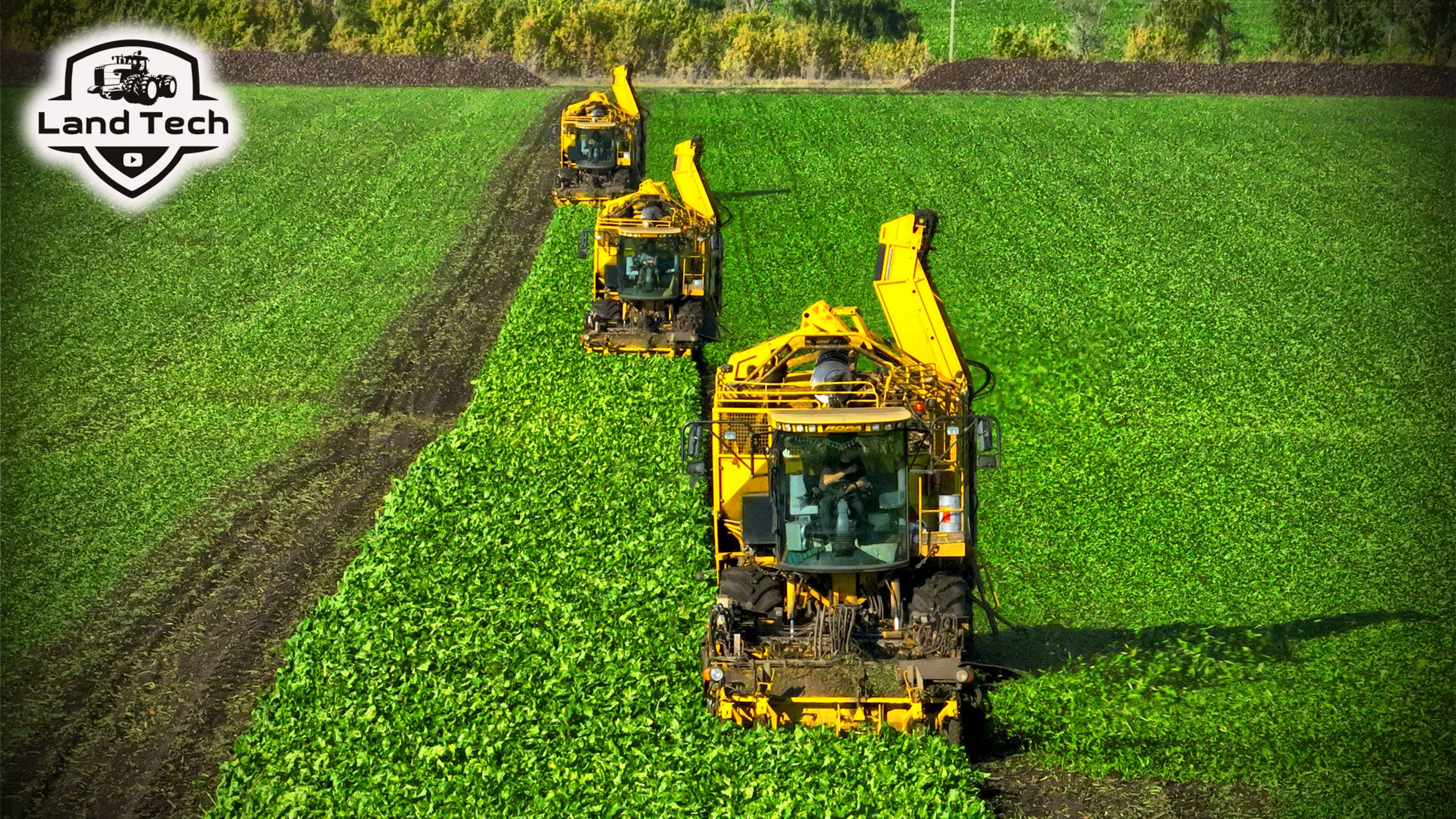 Мощные комбайны ROPA EURO-TIGER V8 - Красивая уборка сахарной свеклы! смотреть онлайн