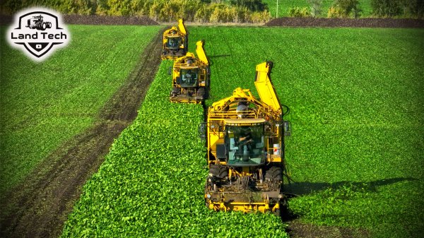 Мощные комбайны ROPA EURO-TIGER V8 - Красивая уборка сахарной свеклы!