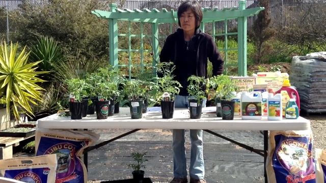 Growing Your Own Tomatoes - Cedros Gardens, Solana Beach, CA смотреть онлайн