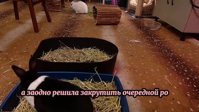 План мести моей жене. За измену! - Моя Жена Изменила - Драмы Судьбы смотреть онлайн