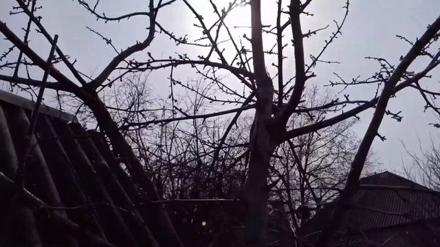 MY LIFE 🍃🌼/ВСЁ ЗЕЛЁНОЕ В ОДНОМ ВИДЕО/ КРАСОТА, ЧИСТЫЙ ВОЗДУХ/ШЛА СО ШКОЛЫ 🍃🌼 смотреть онлайн